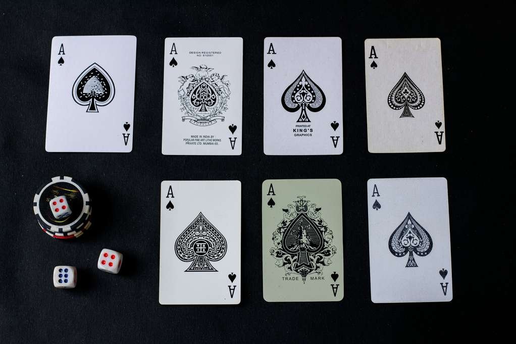 Cat casino 2026